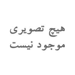 ساعت زنانه چرمی برند COLOMI